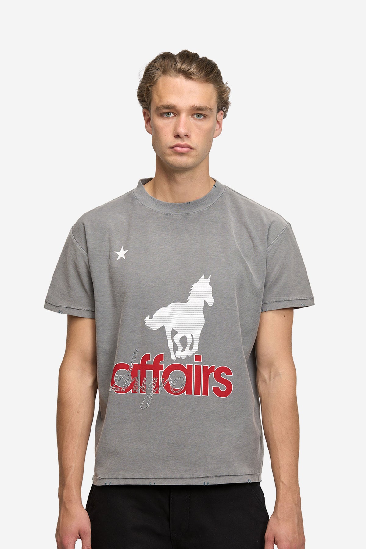 Horsey Tee in Sunfaded Grey