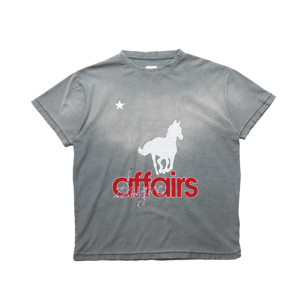 Horsey Tee in Sunfaded Grey