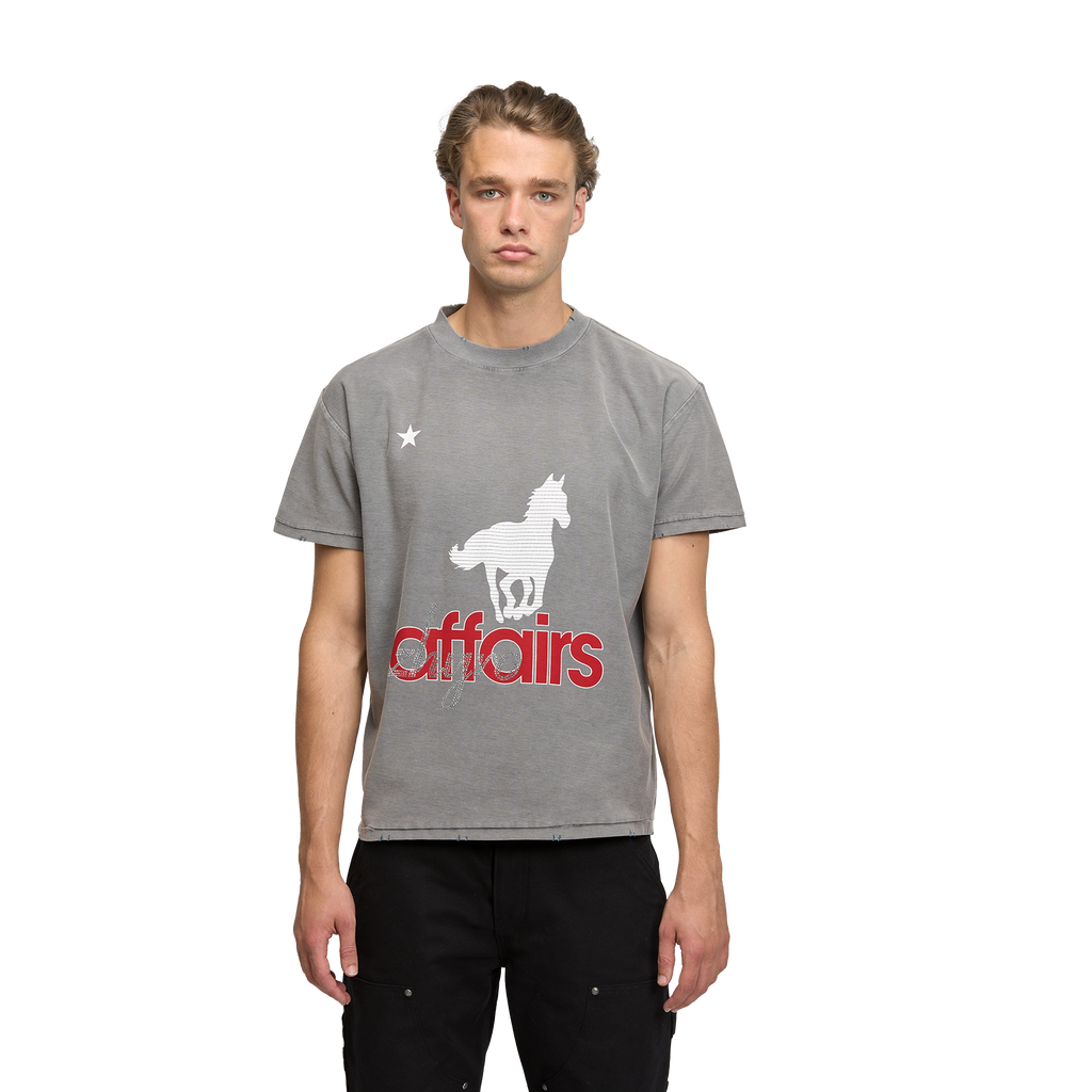 Horsey Tee in Sunfaded Grey