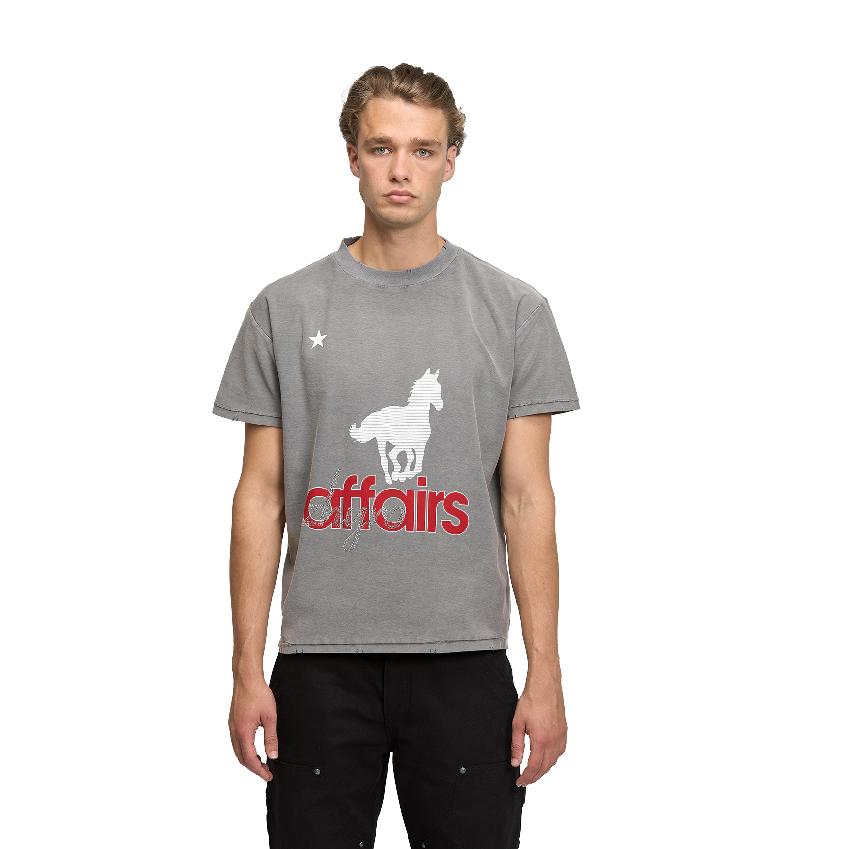 Horsey Tee in Sunfaded Grey
