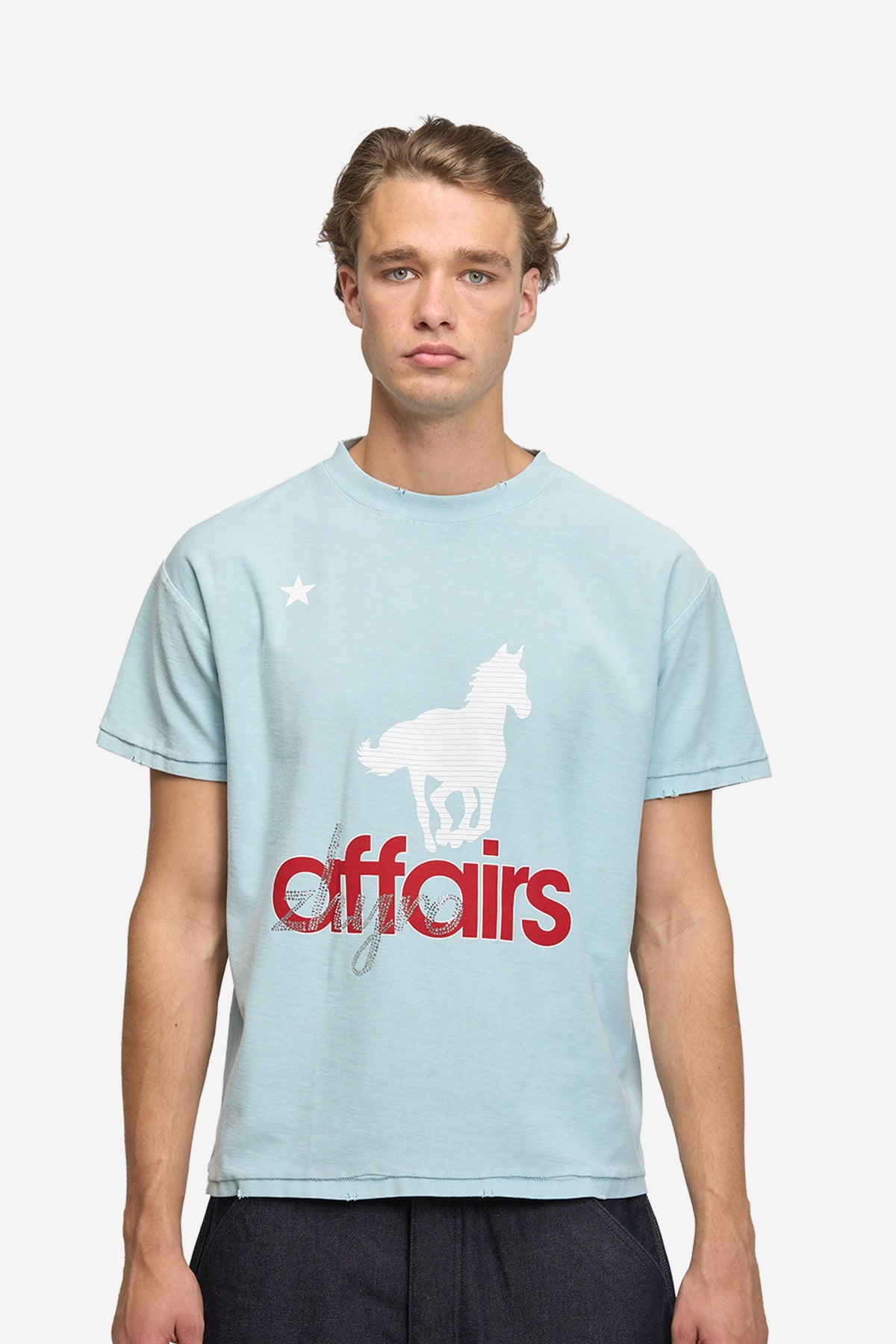 Horsey Tee in Sunfaded Blue